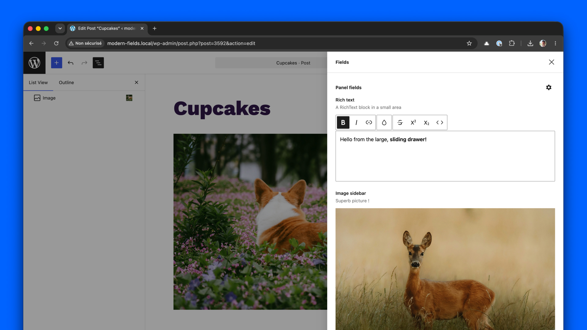 A drawer sliding from the right side of the screen, with more room for your fields.