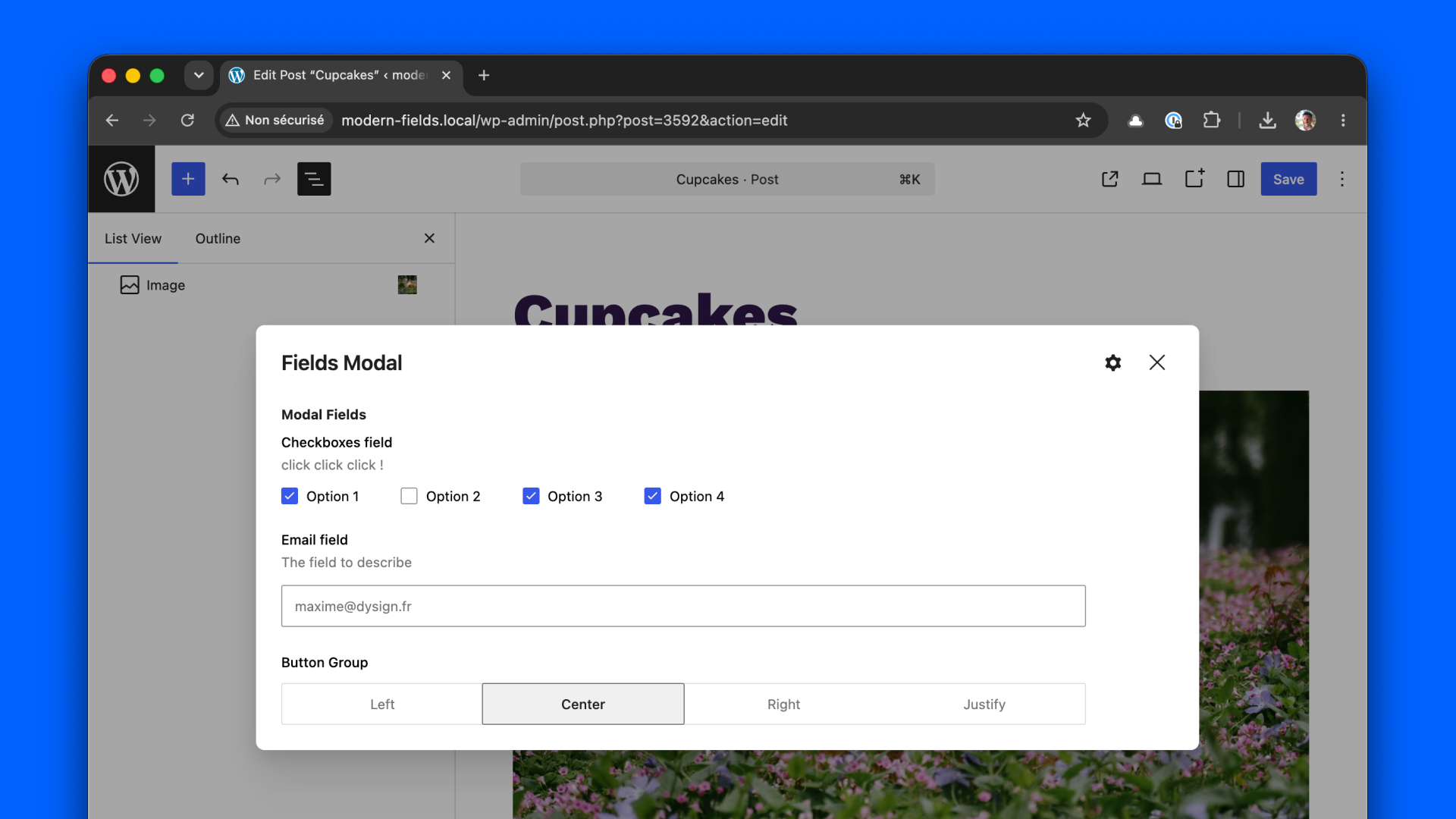 A modal window on top of the editor, with fields inside.